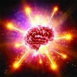 S ODEON | PIERRE-MARIE LLEDO Des cerveaux à neurones ajoutés »