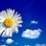 Le printemps c&rsquo;est maintenant… et l&rsquo;optimisme aussi!