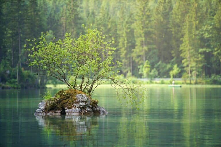 Méditation guidée podcast