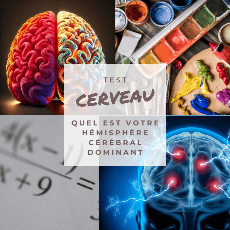test cerveau gauche cerveau droit