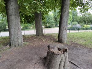 parcours bien etre lac daumesnil premier exercice Un lieu tranquille pour un premier exercice