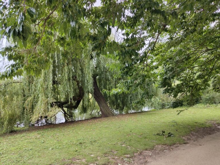 Lieu proposé pour le 3ème exercice du parcours Bien Etre du Lac Daumesnil
