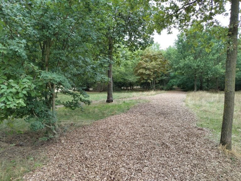 Parcours Bien Etre Lac Daumesnil 4ème étape