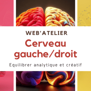 Cerveau gauche vs cerveau droit
