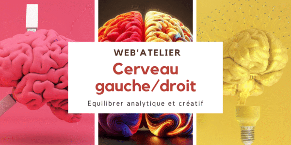 Cerveau gauche vs cerveau droit